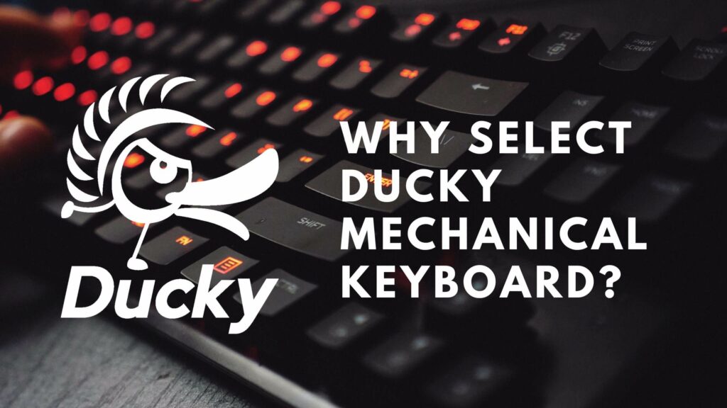 Why Select Ducky Mechanical Keyboard Instead Of Other Brands