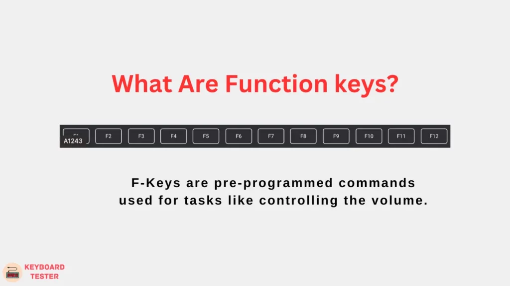 What Are Function keys?