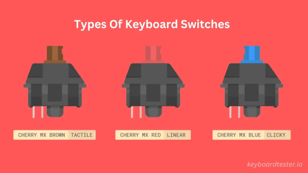 Types Of Keyboard Switches